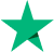 digital-download-store-trustpilot-logo